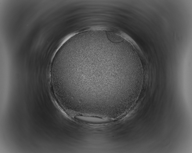 X0000085050852200703051415