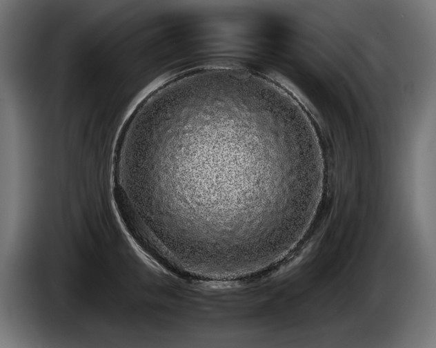 X0000085050853200703051415