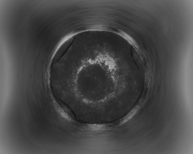 X0000085050854200703051415