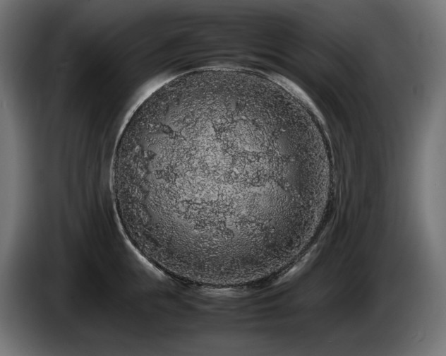 X0000085050855200703051415