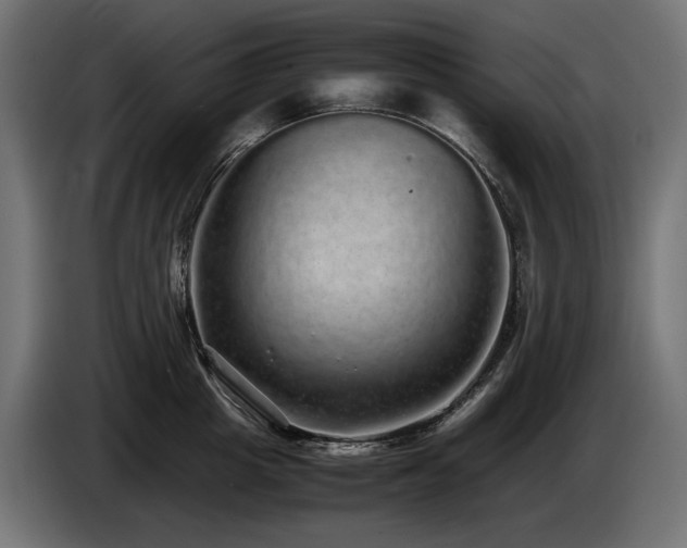 X0000085050857200703051415