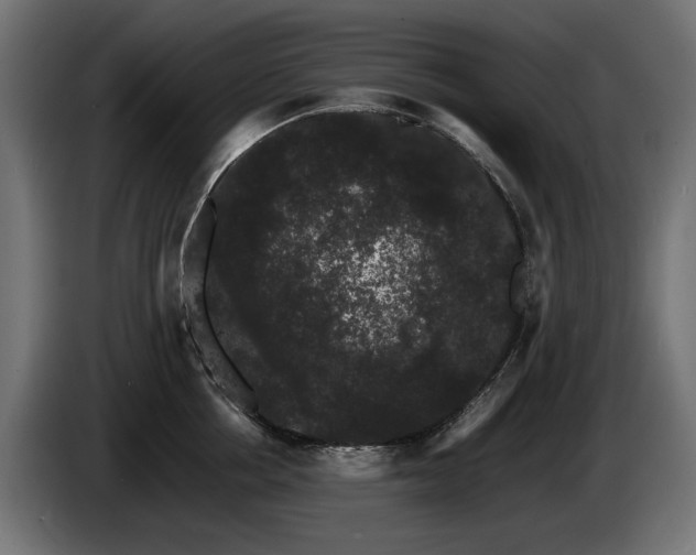 X0000085050858200703051415
