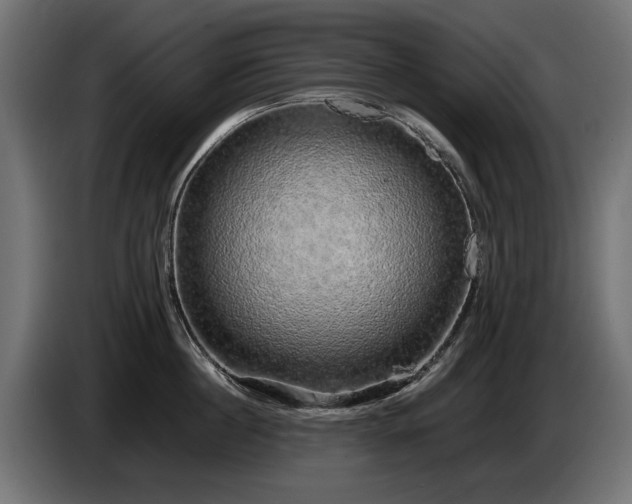 X0000085050860200703051415