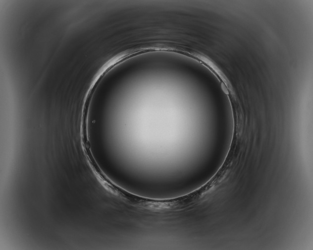 X0000085050861200703051415