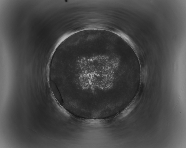 X0000085050862200703051415