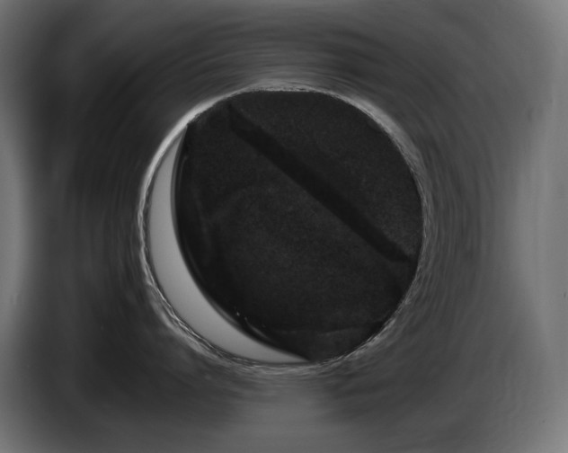 X0000085050864200703051415
