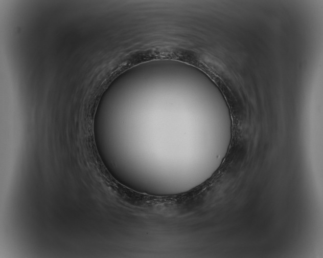 X0000085050865200703051414