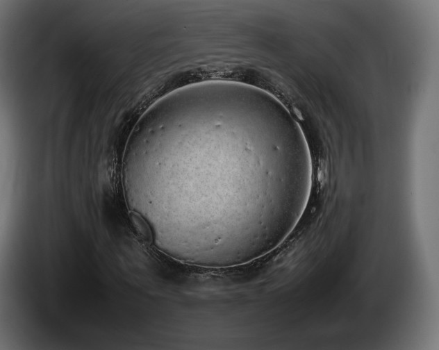 X0000085050867200703051414