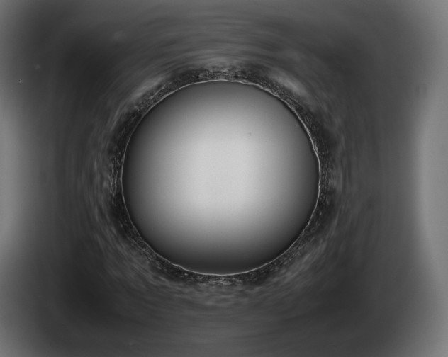 X0000085050869200703051414