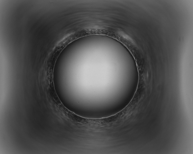 X0000085050870200703051414