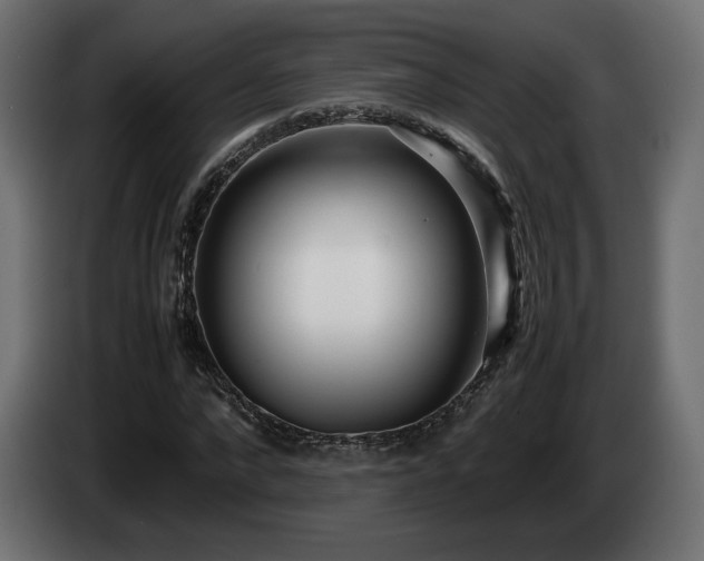 X0000085050872200703051414