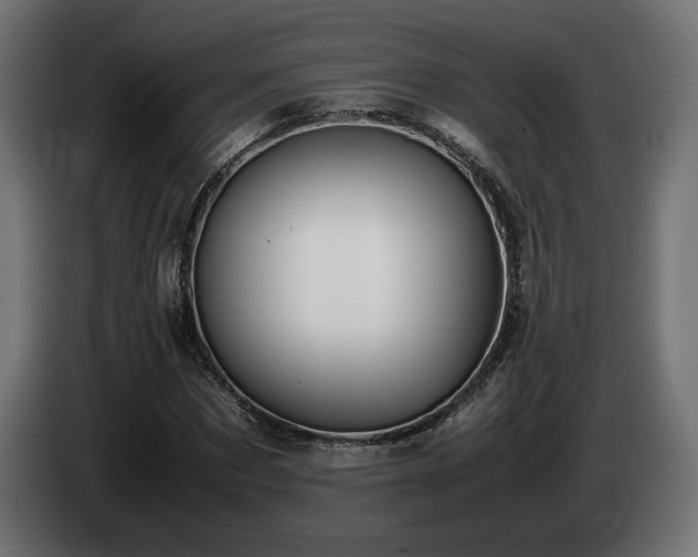 X0000085050873200703051414
