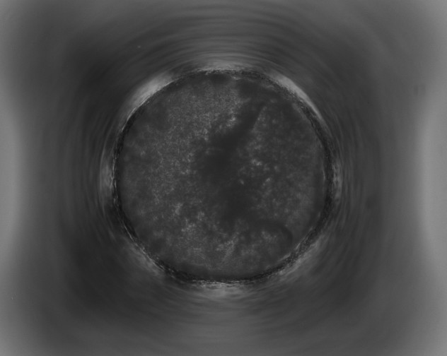 X0000085050874200703051414