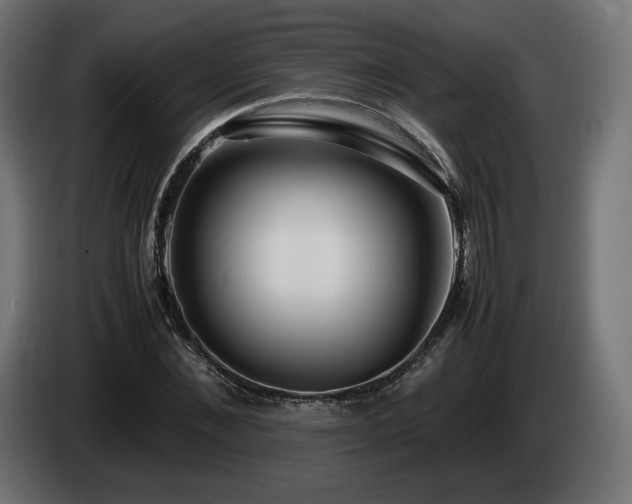 X0000085050876200703051414