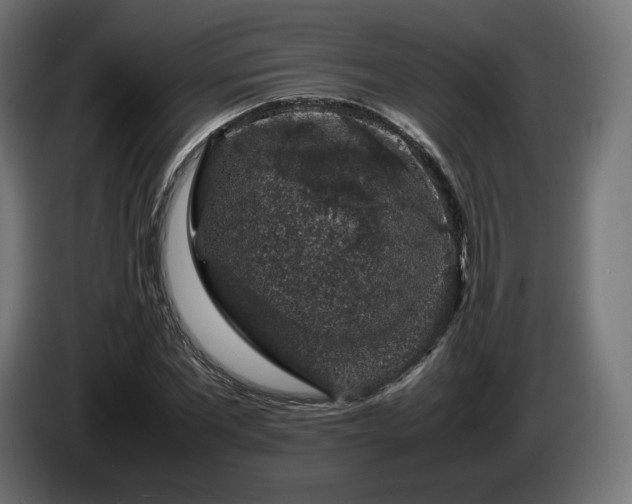 X0000085050877200703051414
