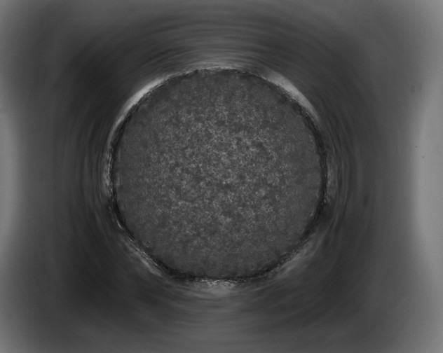 X0000085050878200703051414