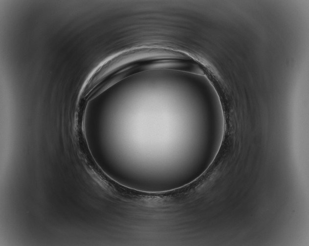 X0000085050880200703051414