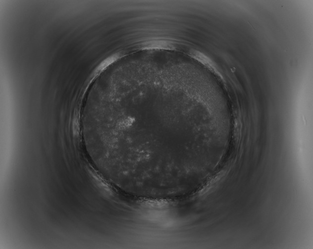 X0000085050882200703051414