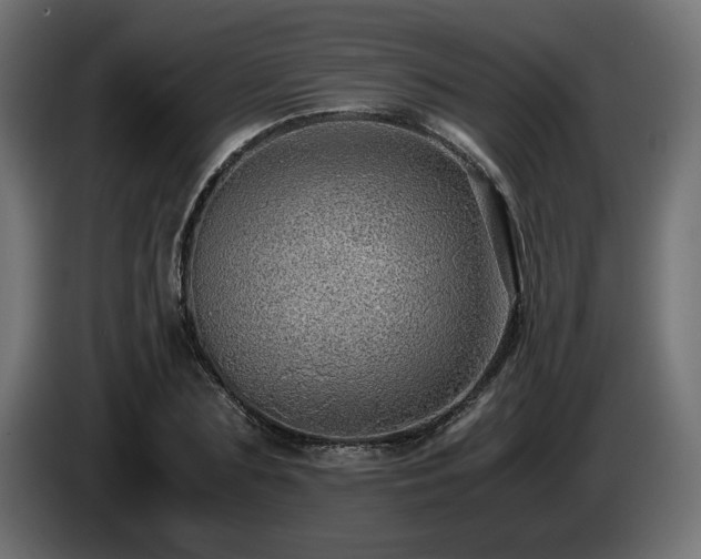 X0000085050883200703051414