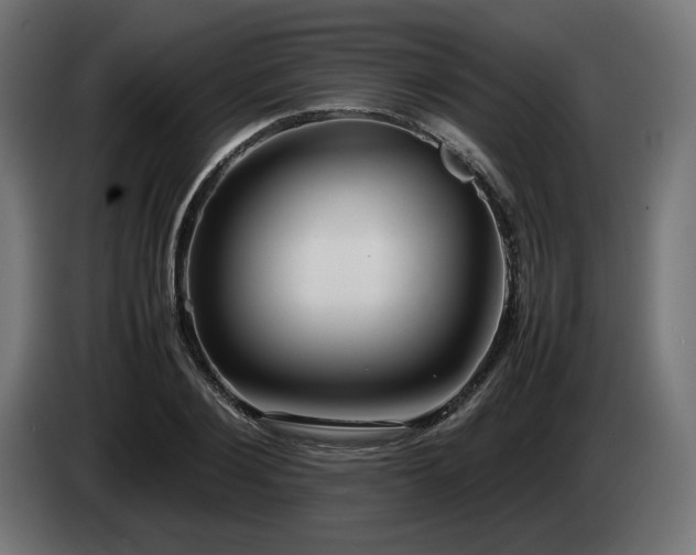 X0000085050884200703051414