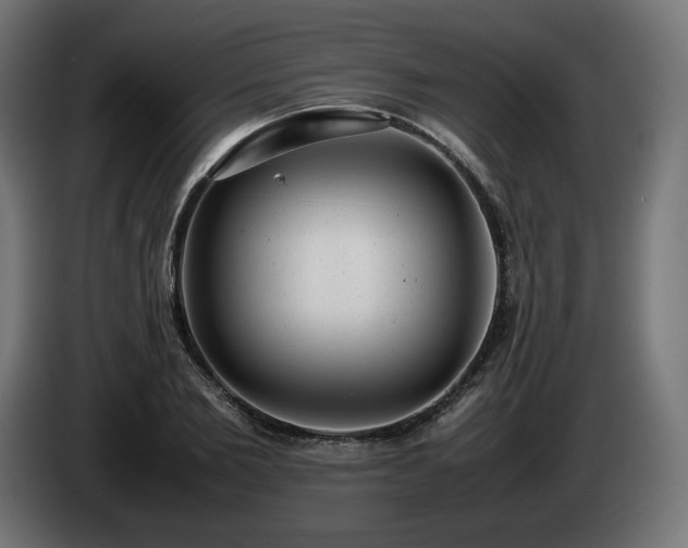 X0000085050885200703051414