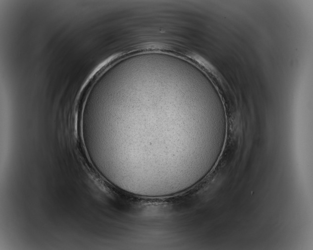 X0000085050886200703051414