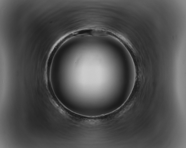 X0000085050888200703051414