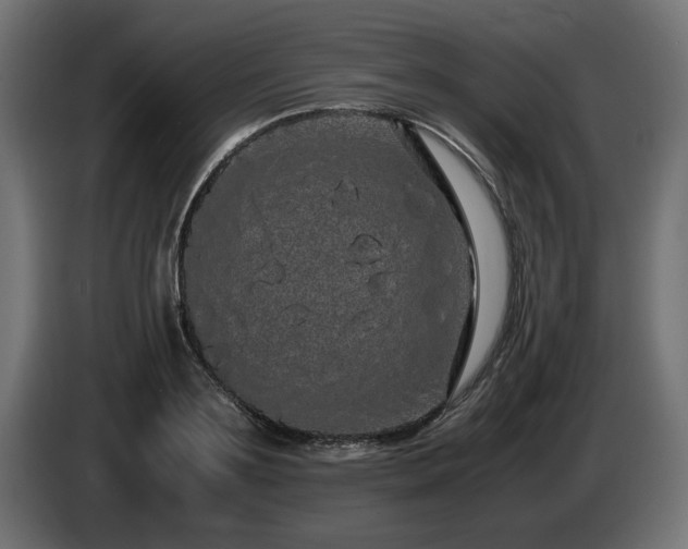 X0000085050891200703051414