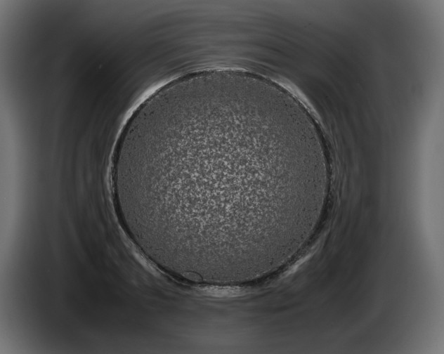 X0000085050893200703051414