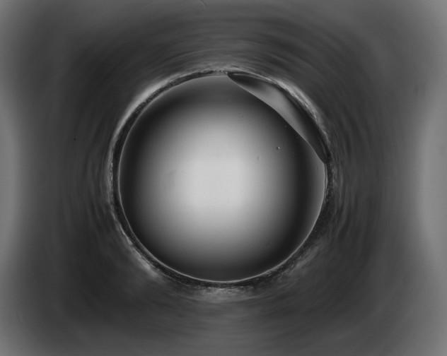 X0000085050894200703051414