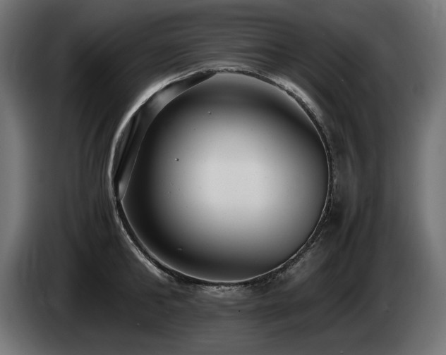 X0000085050902200703051414