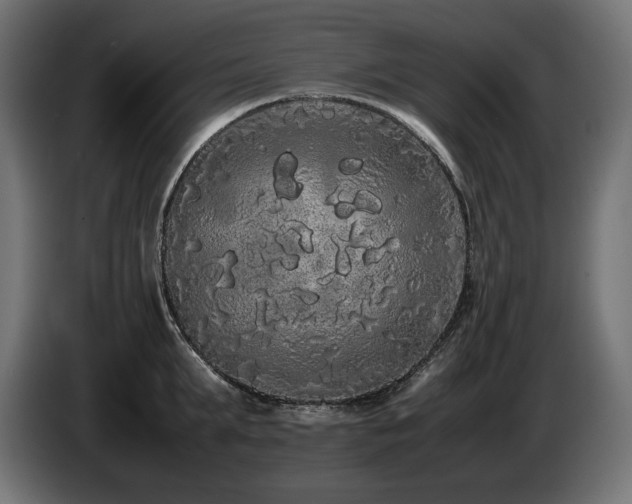 X0000085050903200703051414