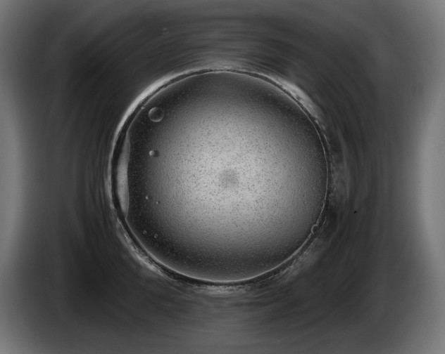 X0000085050904200703051414