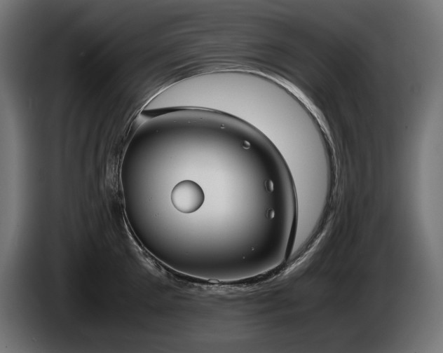 X0000085050905200703051414