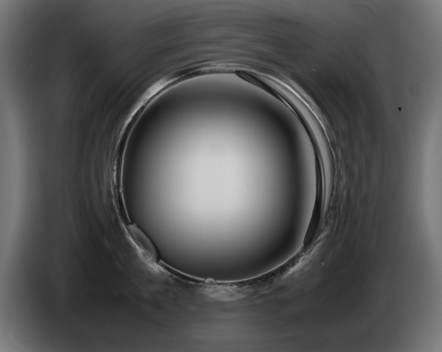 X0000085050909200703051414
