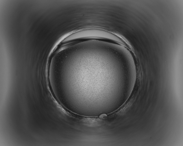 X0000085050910200703051414