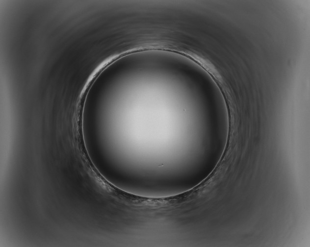 X0000085050912200703051414