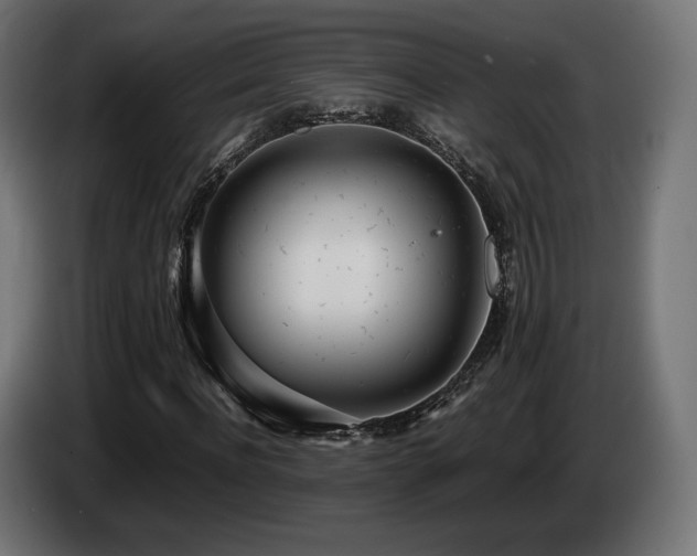 X0000085050916200703051413
