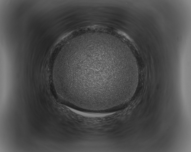 X0000085050919200703051413