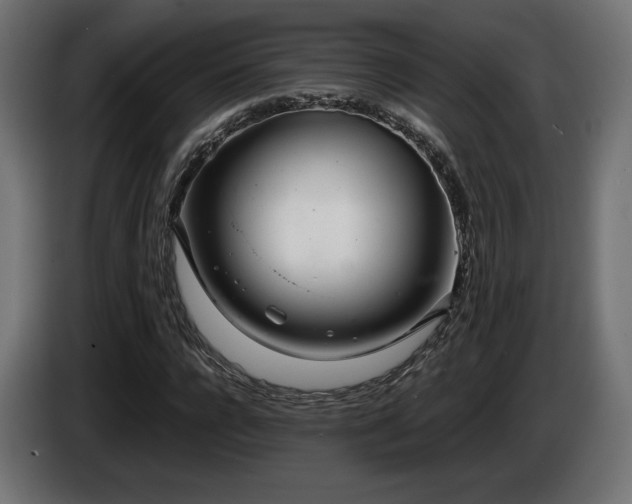 X0000085050920200703051413