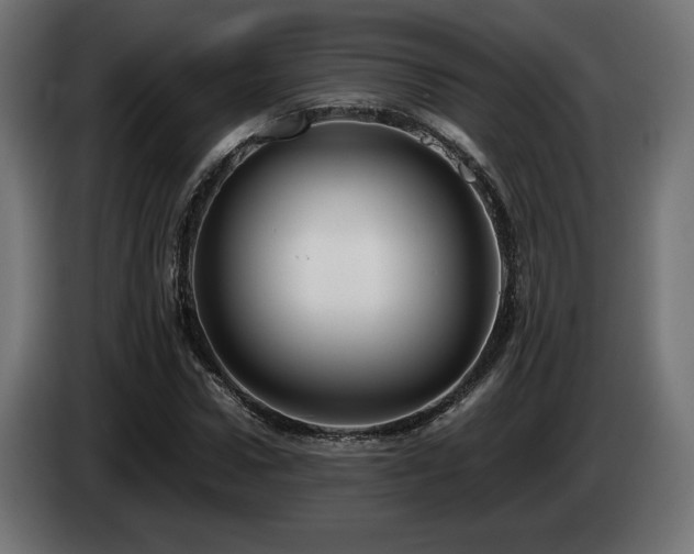X0000085050922200703051413