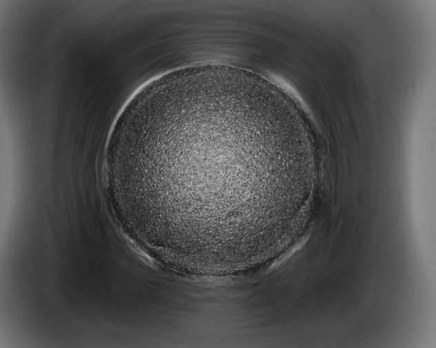 X0000085050924200703051413