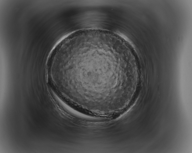X0000085050925200703051413