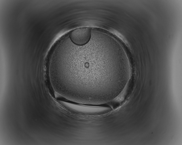 X0000085050926200703051413