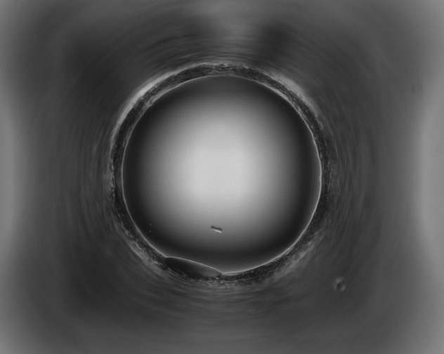 X0000085050927200703051413