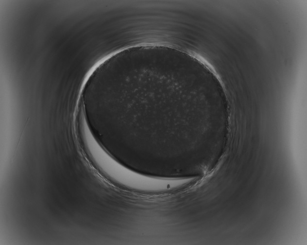 X0000085050928200703051413