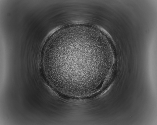 X0000085050930200703051413