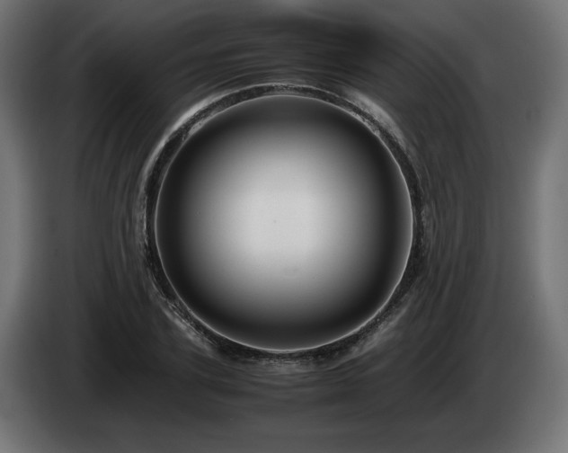X0000085050931200703051413