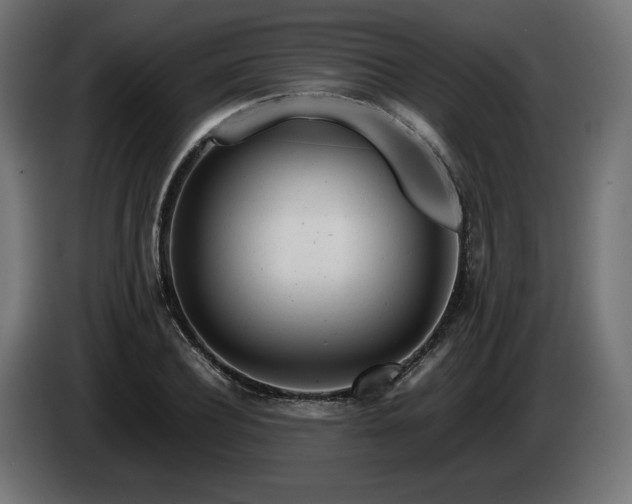 X0000085050932200703051413