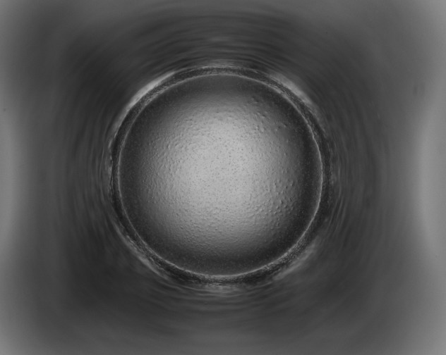 X0000085050933200703051413